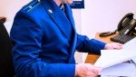 Двое жителей Пермского края осуждены за незаконную рубку лесных насаждений, причинившую многомиллионный ущерб